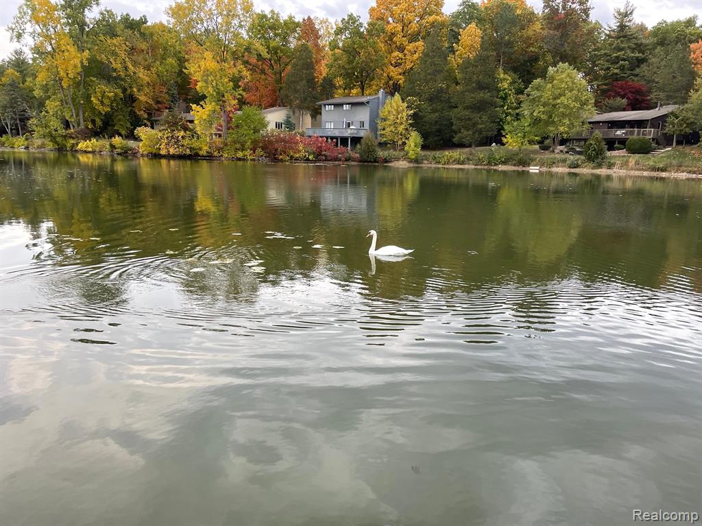 6523 BLUE SPRUCE, West Bloomfield, MI 48324 — Photo 24