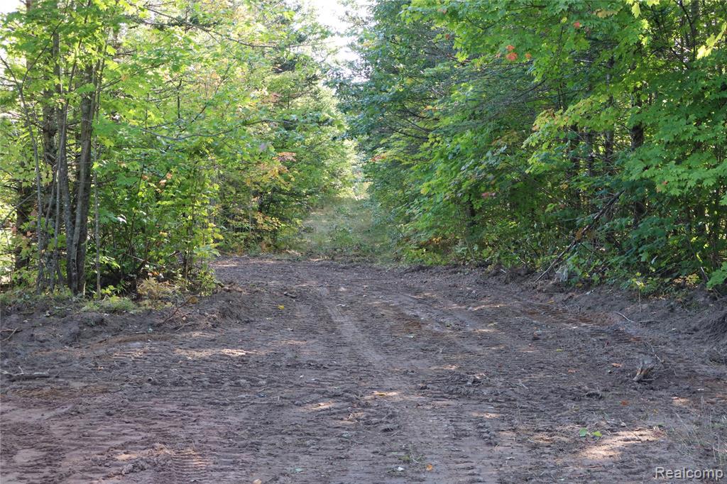 Lot D W Pendills Lake Road, Brimley, MI 49715 — Photo 18