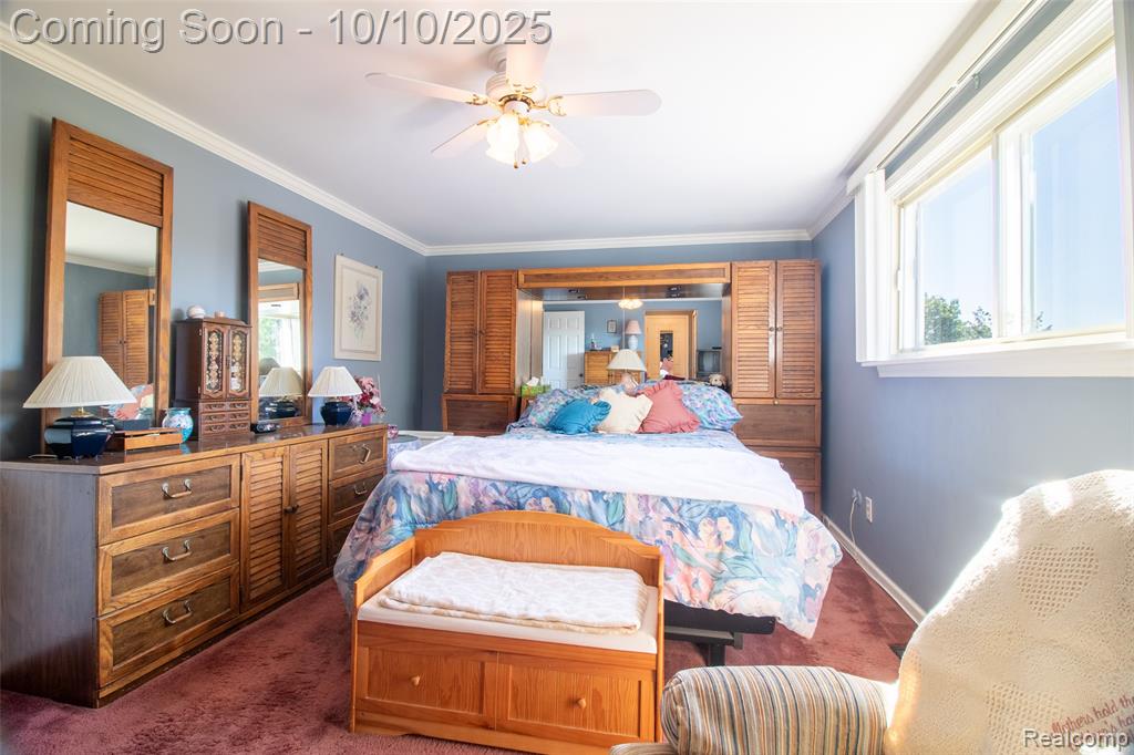 22321 N Fairway Drive, Woodhaven, MI 48183 — Photo 30