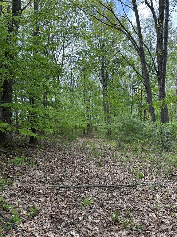 6250 Stine Road, Imlay City, MI 48444 — Photo 75