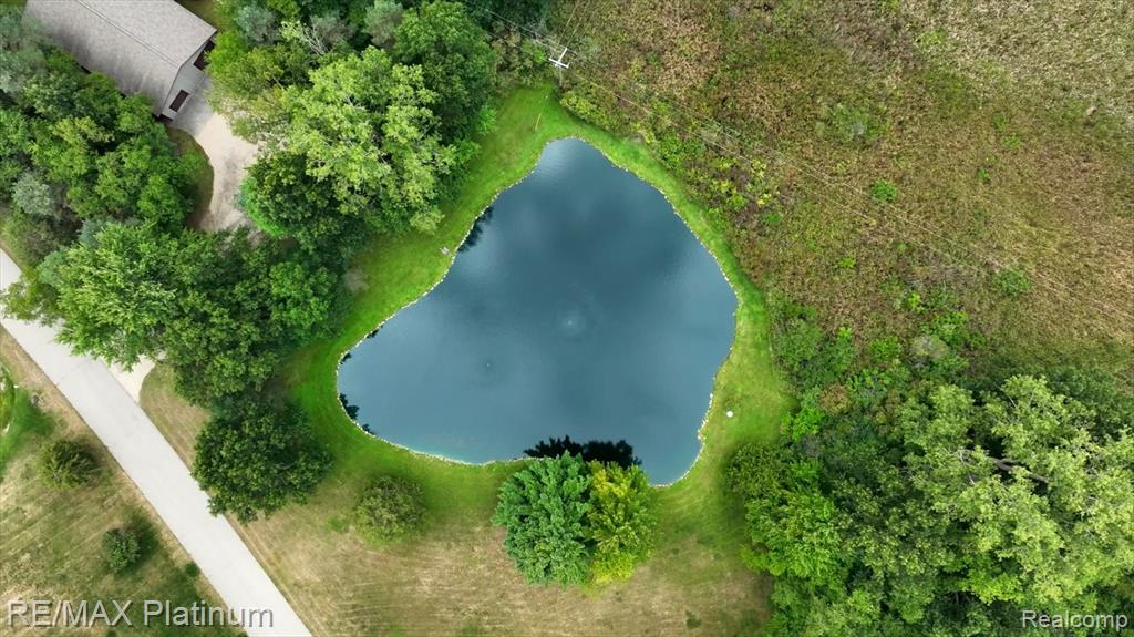 8872 Thornapple Drive, Pinckney, MI 48169 — Photo 11