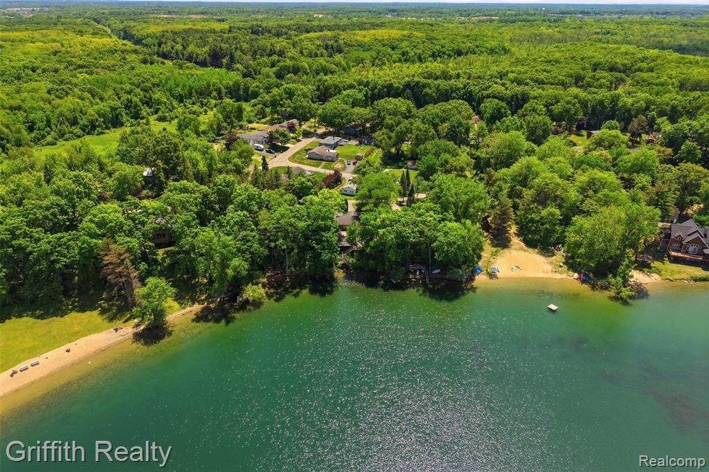 6262 Briggs Lake Drive, Brighton, MI 48116 — Photo 6