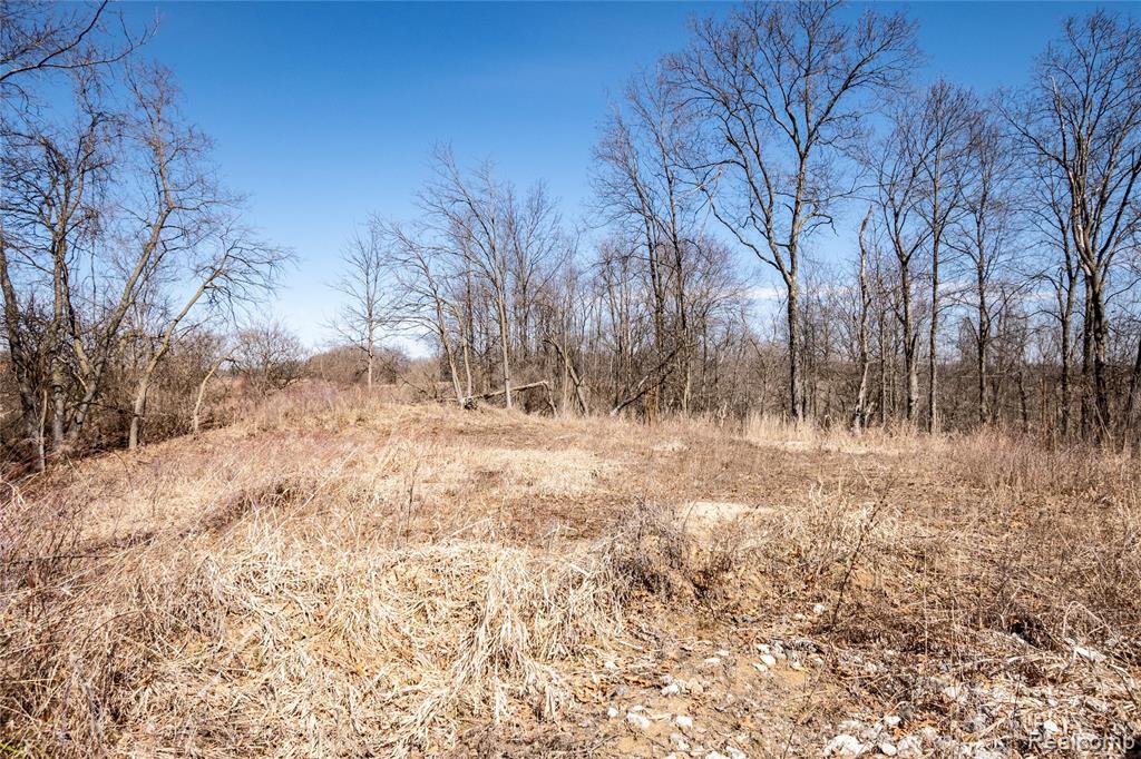 4949 W Beard Road, Perry, MI 48872 — Photo 8