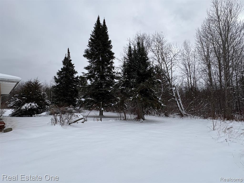 2855 E County Line Road, Hale, MI 48739 — Photo 34