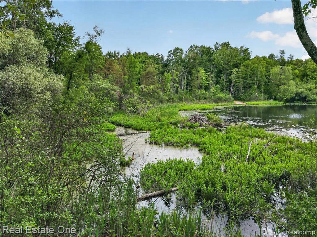 425 Courtney Road, Leonard, MI 48367 — Photo 83