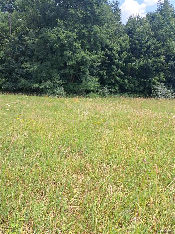 6120 Sunnys Way, Imlay City, MI 48444