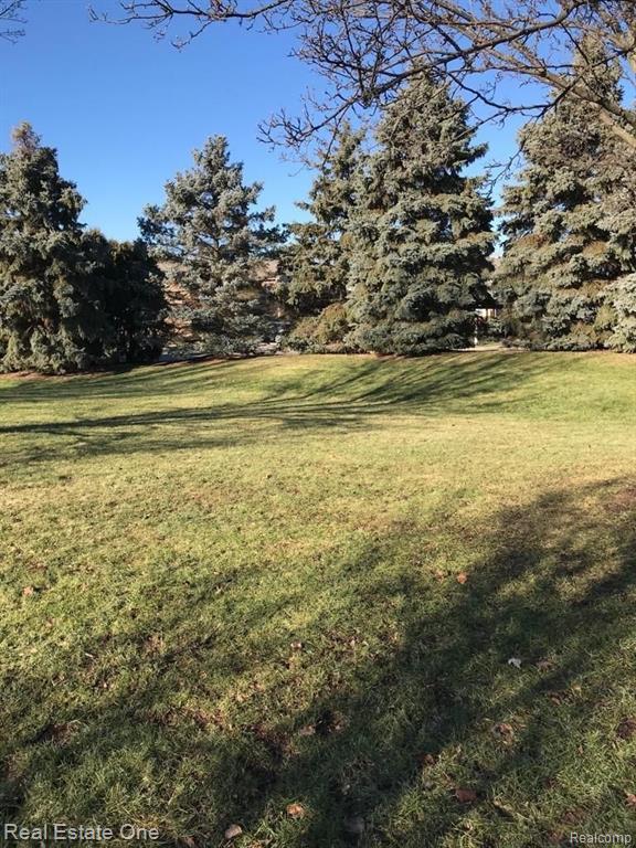 42493 LILLEY POINTE Drive, Canton, MI 48187 — Photo 21