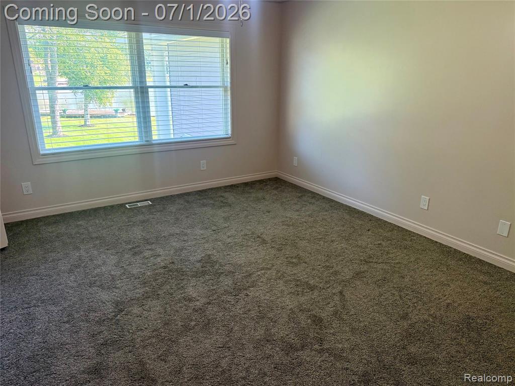 3780 Lake Lapeer Drive, Metamora, MI 48455 — Photo 50