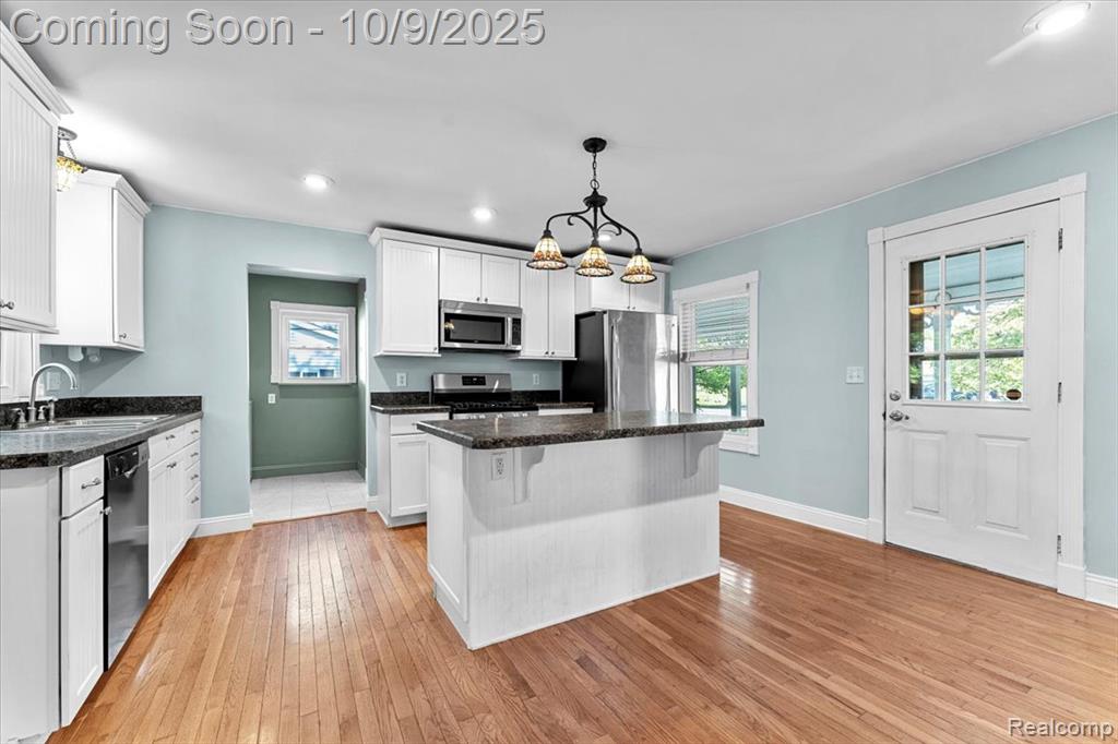 3009 Gruber Road, Monroe, MI 48162 — Photo 3