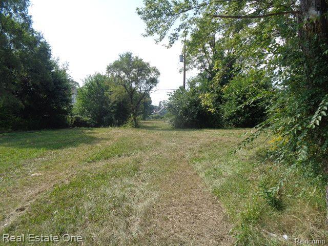 5092 CHARLES Street, Hamtramck, MI 48212 — Photo 2