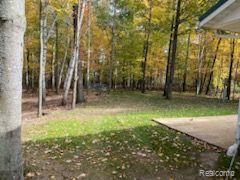 6375 JOANNE Street, Lake, MI 48632 — Photo 11