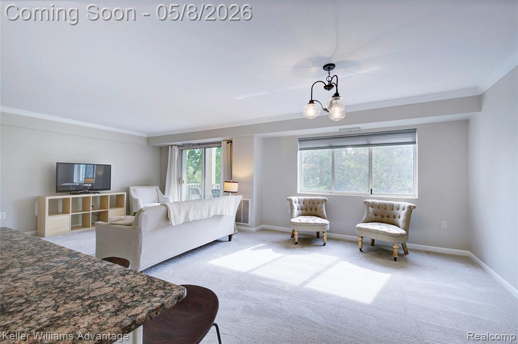 770 Deer Street, 302, Plymouth, MI 48170 — Photo 37