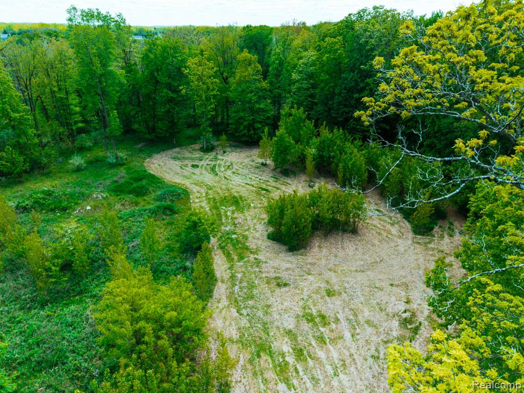 C-1 DOA Lane, Brighton, MI 48114 — Photo 7