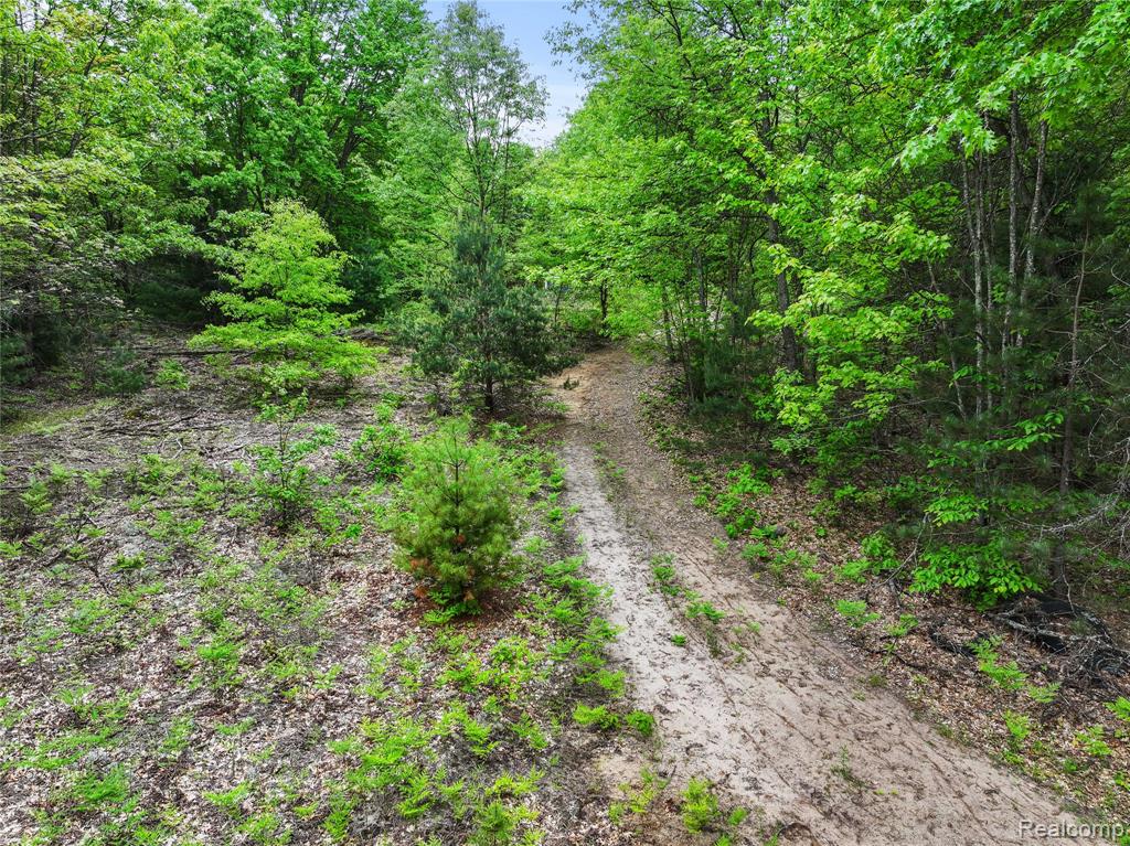 8875 N Lakola Road, Tustin, MI 49688 — Photo 10