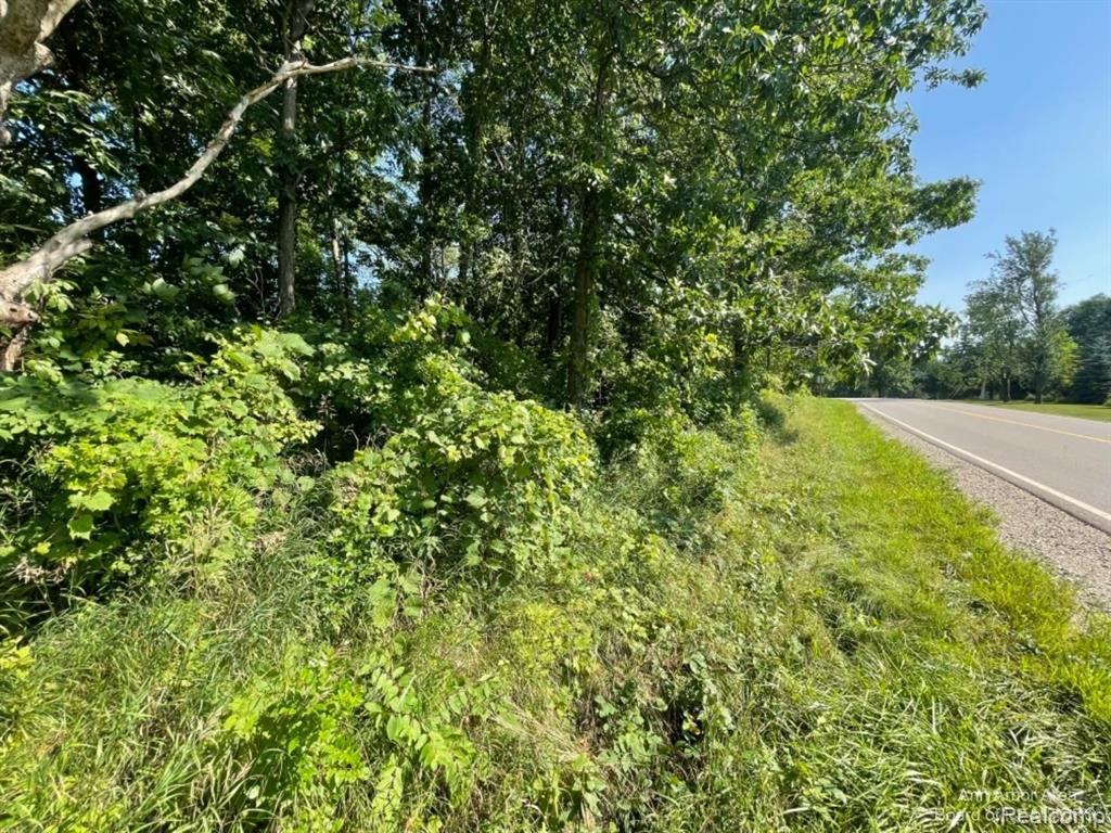VL Denton Hills Road, Fenton, MI 48430 — Photo 14