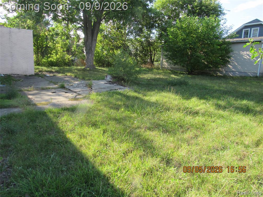 Photo 5