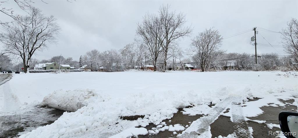 14405 MANNING Street, Detroit, MI 48205 — Photo 9
