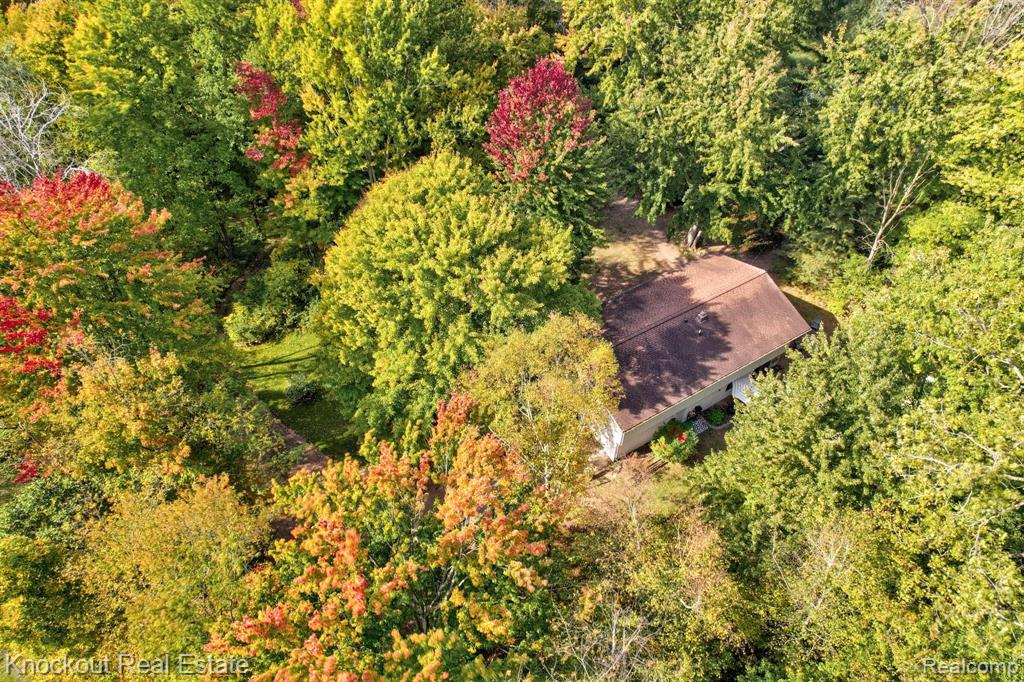 7553 BRAY Road, Vassar, MI 48768 — Photo 54