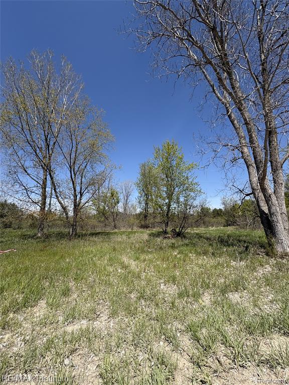 Parcel 6 Fisher Road, Howell, MI 48855 — Photo 8