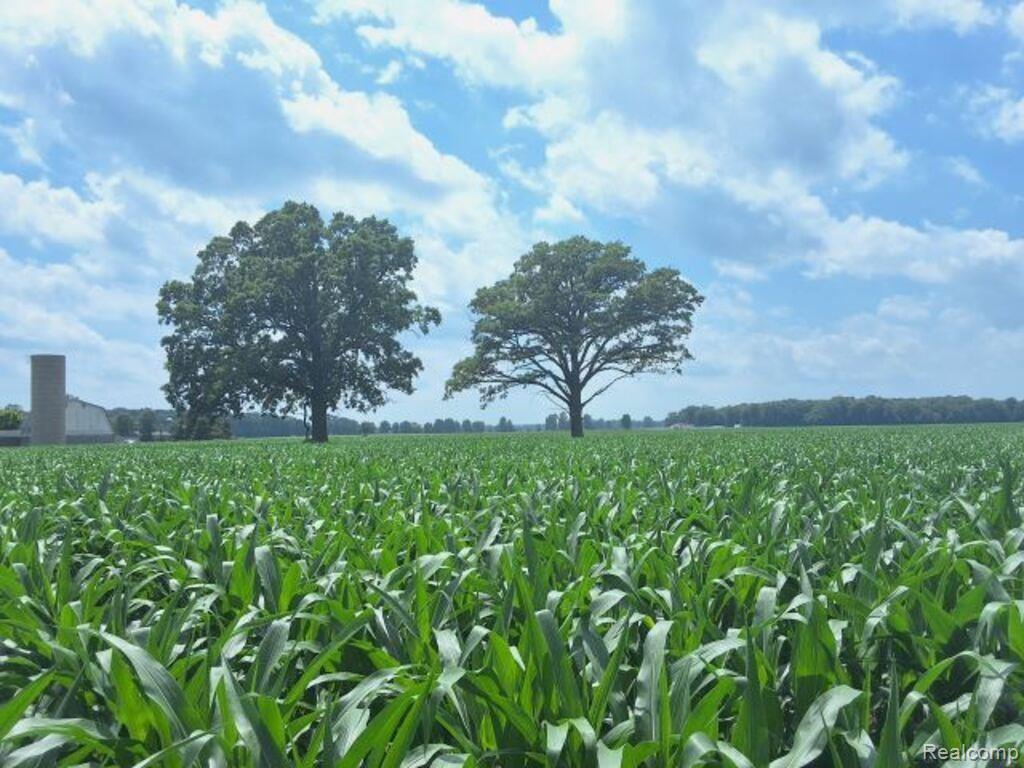 AUCTION Lot # 2 10 acres Dryden Road, Capac, MI 48014 — front exterior