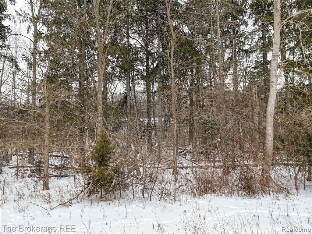 S Gera Rd, Birch Run, MI 48415 — Photo 13