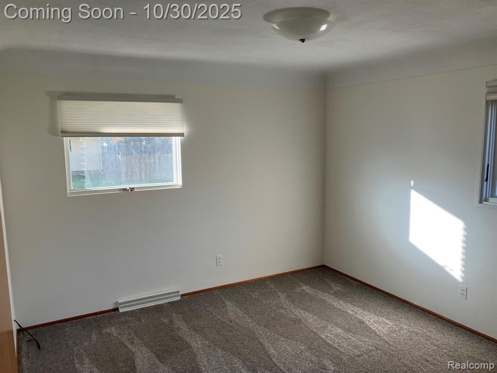 3335 W Water Street, Port Huron, MI 48060 — Photo 19