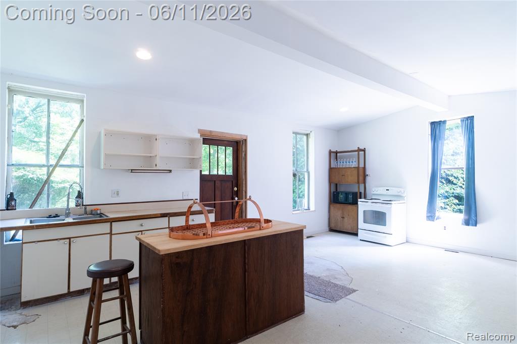 807 Baird Street, Holly, MI 48442 — Photo 3