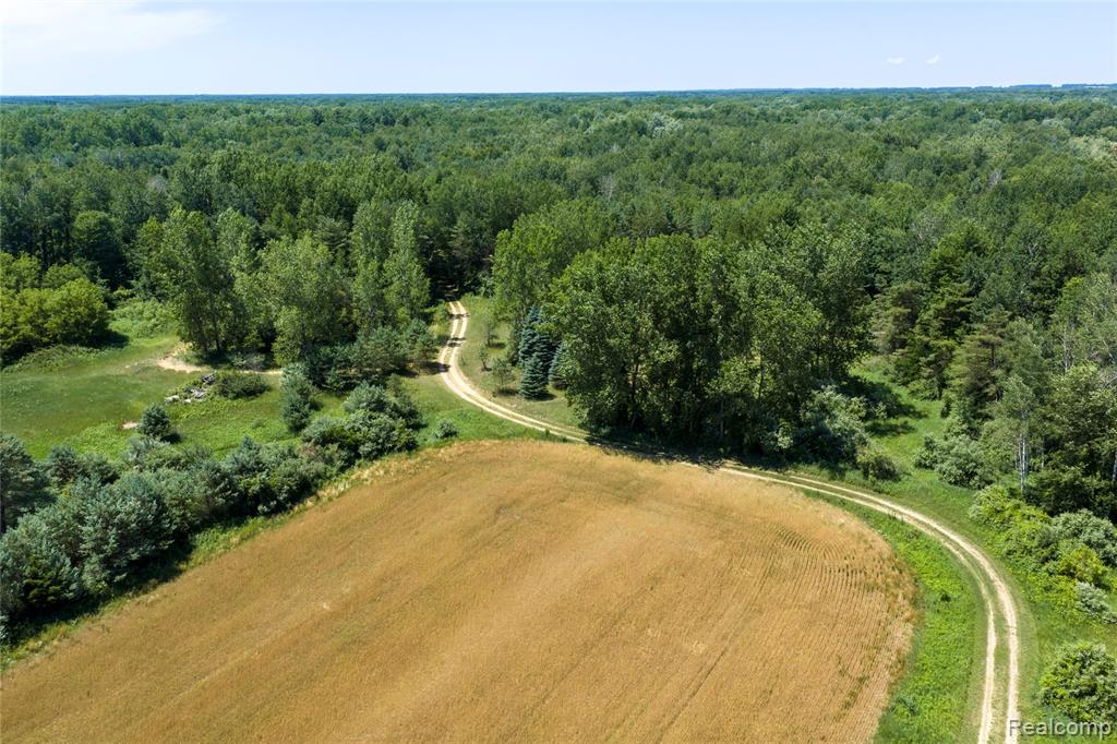 Parcel A Dodge Rd, Cass City, MI 48726 — Photo 10