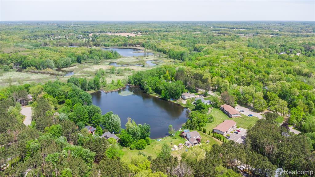 9076 Pineview Lake Court, Linden, MI 48451 — Photo 4