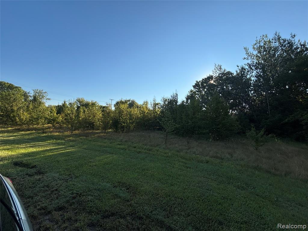 E E Carpenter Road, Flint, MI 48505 — Photo 6