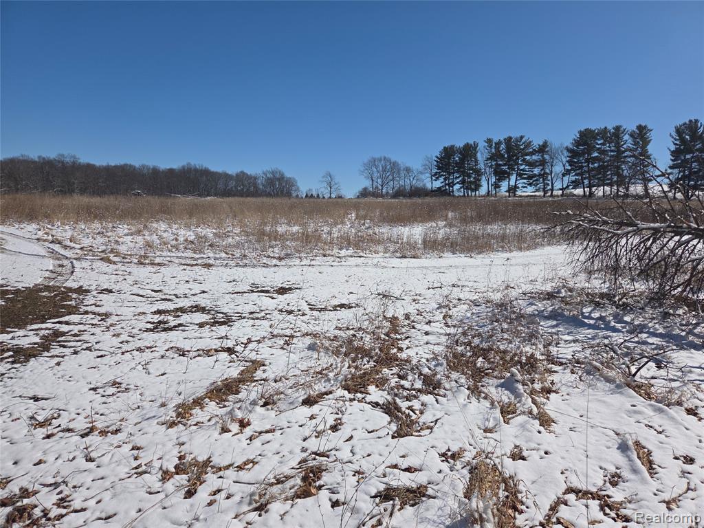 parcel 3 mack rd Road, Howell, MI 48855 — Photo 2