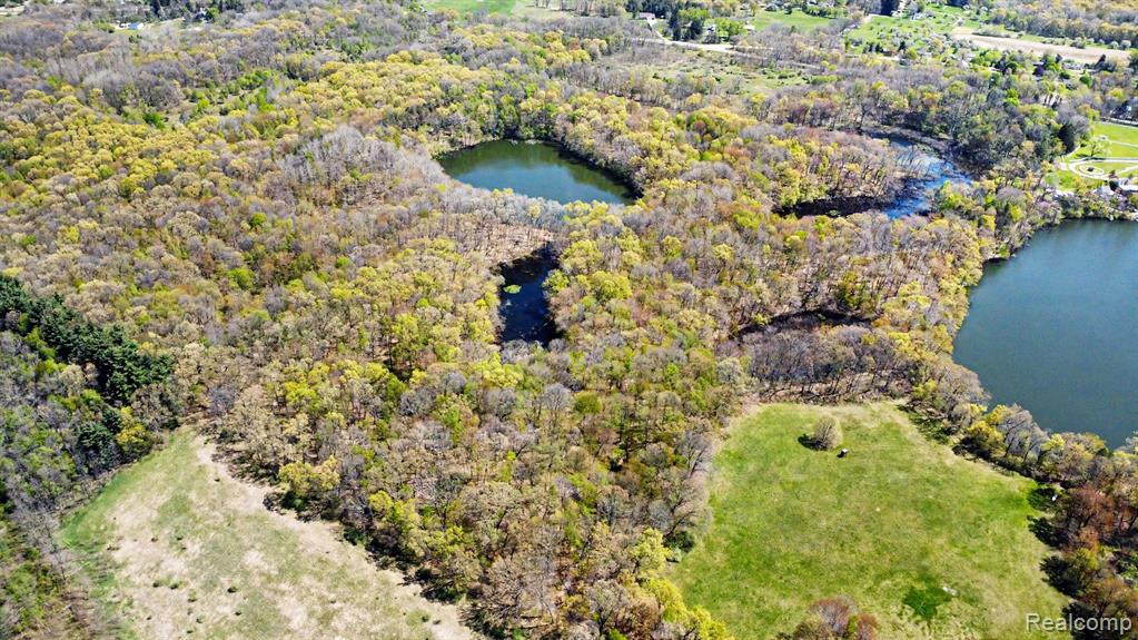 Parcel #3 Milford Rd, Holly, MI 48442 — Photo 21