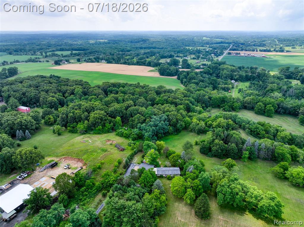 9550 Kies Road, Manchester, MI 48158 — Photo 41