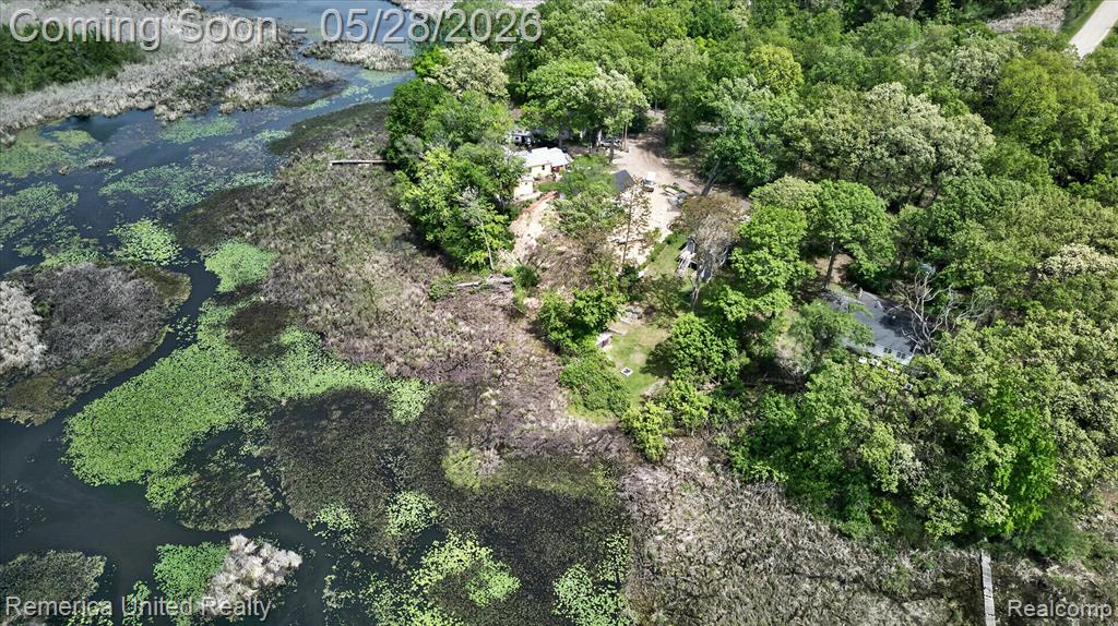 3980 Ben Hur Drive, Brighton, MI 48114 — Photo 38