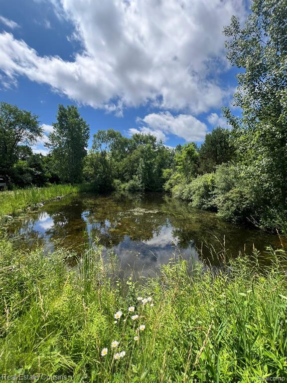 5440 Lobdell Road, Fenton, MI 48430 — Photo 12