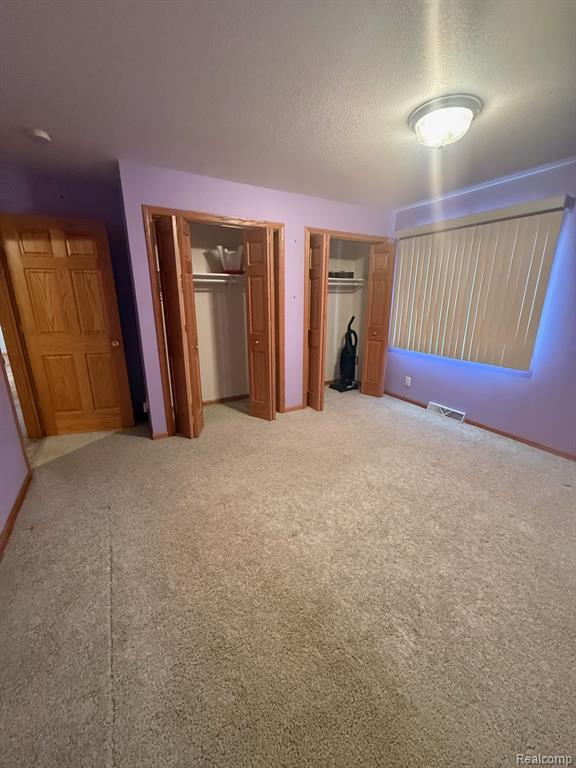 4338 Mertz Road, Mayville Vlg, MI 48744 — Photo 10
