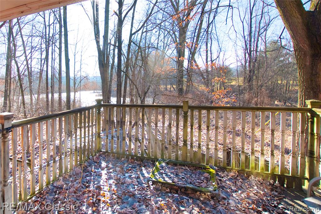 1315 W Marr Road, Howell, MI 48855 — Photo 26