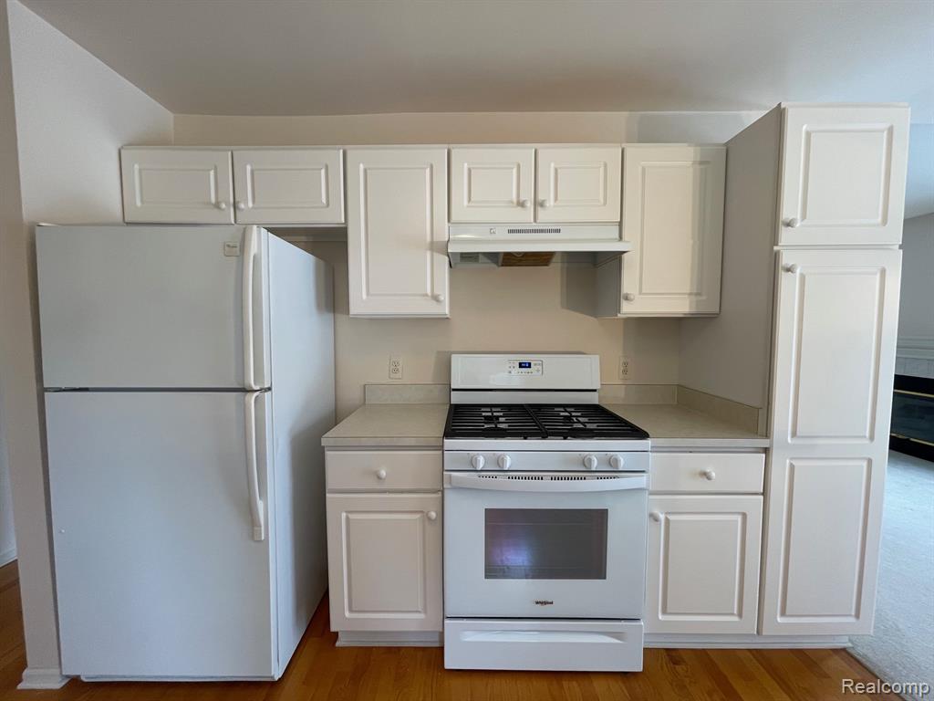 10385 Tophill, Hartland, MI 48353 — Photo 6