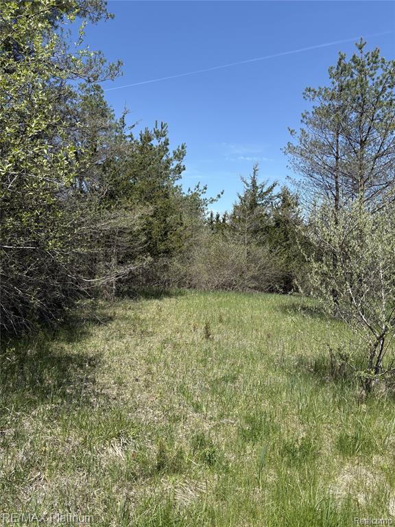 Parcel 7 Fisher Road, Howell, MI 48855 — Photo 5