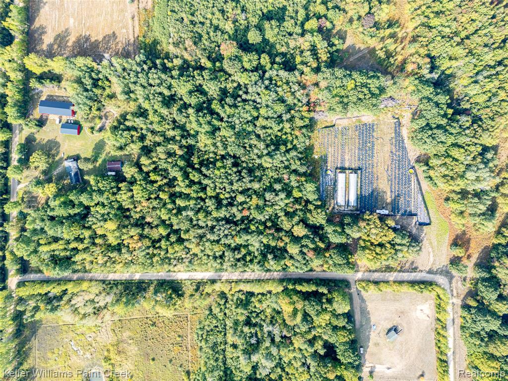 5852 NW County Line Road, Coleman, MI 48618 — Photo 4