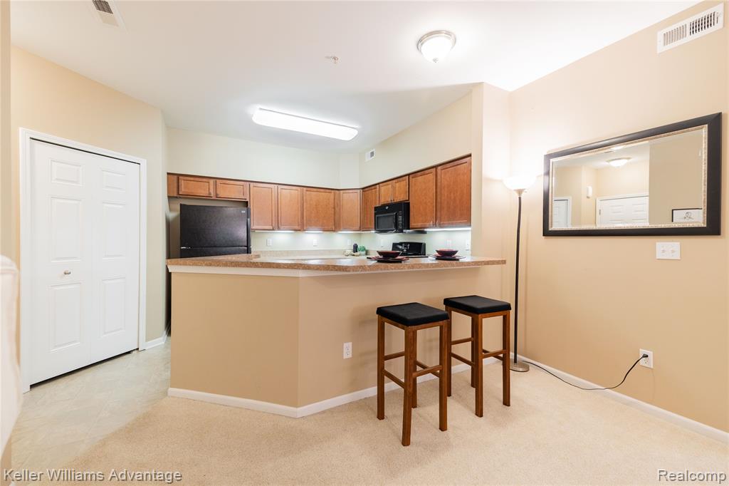 921 E Summerfield Glen Circle, Ann Arbor, MI 48103 — Photo 11