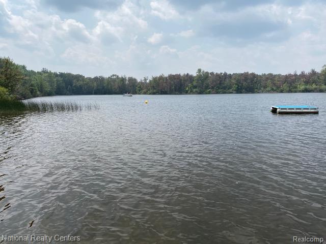 12047 Shenandoah Drive, 2, South Lyon, MI 48178 — Photo 54