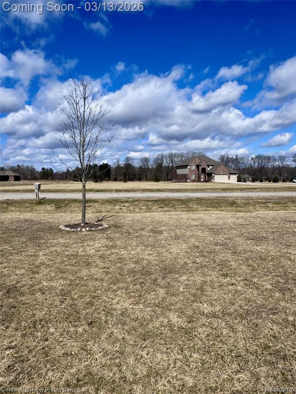 6060 INTRINSIC Lane, Imlay City, MI 48444 — Photo 38