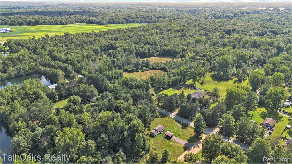 VL Caine Road, Vassar, MI 48768 — Photo 2