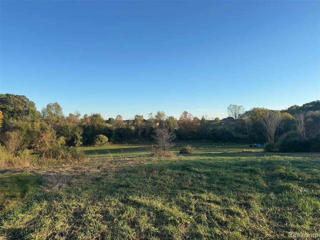 VL Rock Valley Road, Metamora, MI 48455 — Photo 12