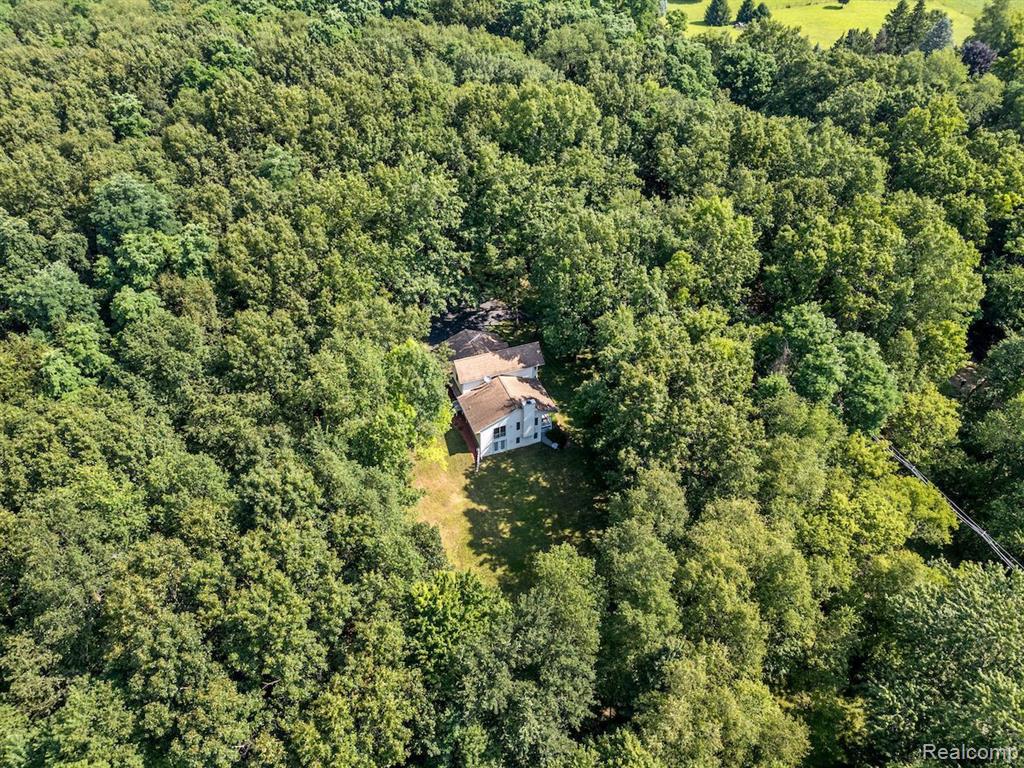 11105 Bohm Road, Byron, MI 48418 — Photo 4