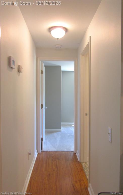 4251 Quebec Street, Auburn Hills, MI 48326 — Photo 11