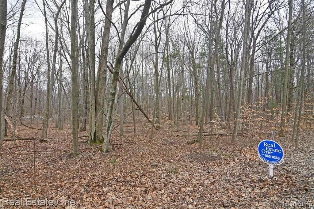 VL Hamlin Lake Estates Block 12 Lot 21-24, Ludington, MI 49431 — Photo 3