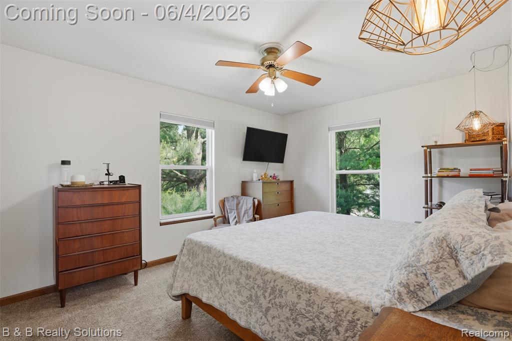 8820 Almont Road, Almont, MI 48003 — Photo 21