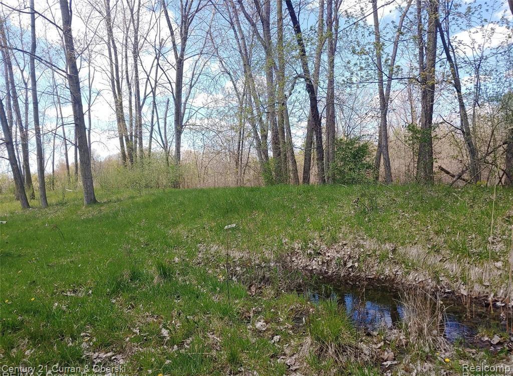 16620 Vining Road, Romulus, MI 48174 — Photo 3